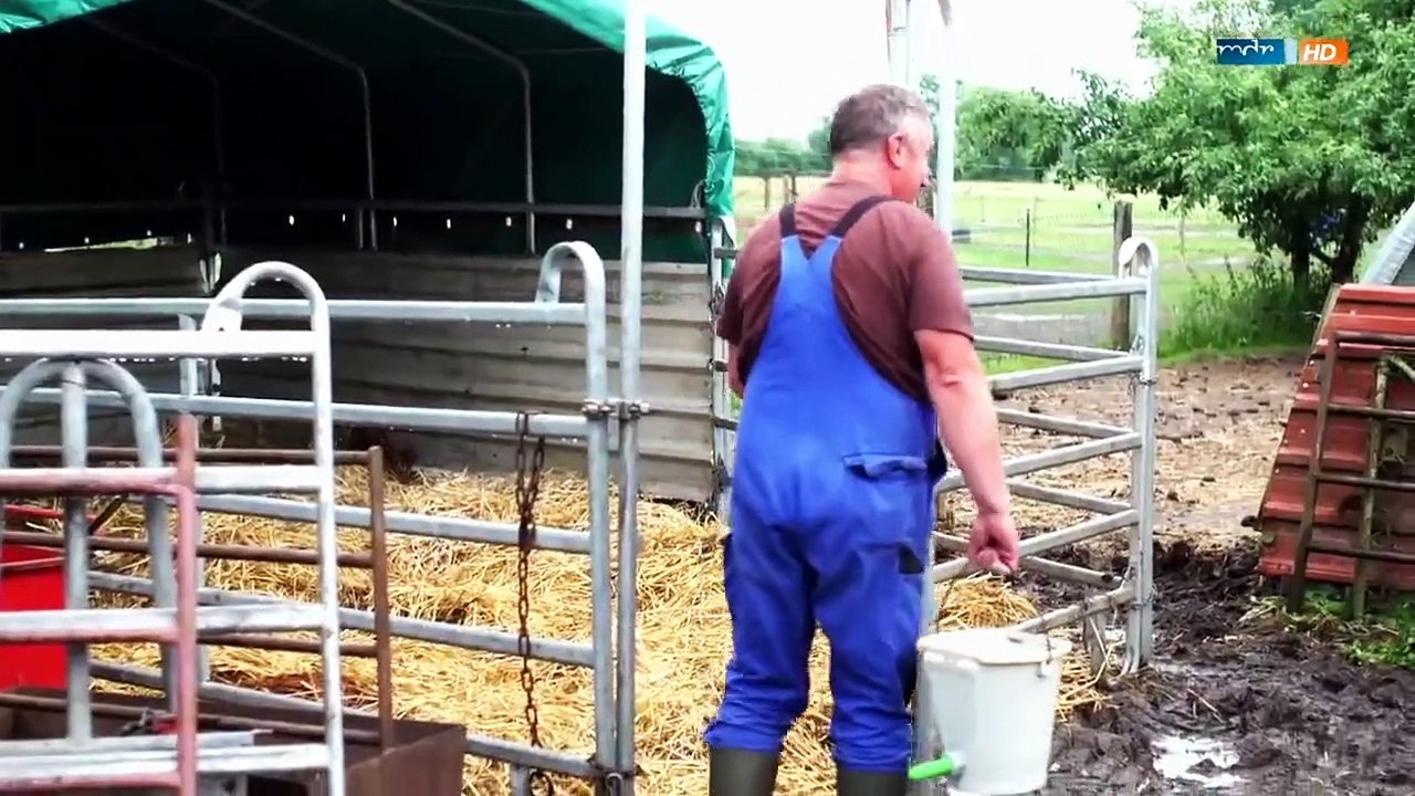 Sommer auf dem Bauernhof Staffel 1 Folge 4 HD Deutsch