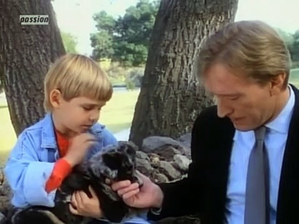 Unter der Sonne Kaliforniens Staffel 12 Folge 17 HD Deutsch