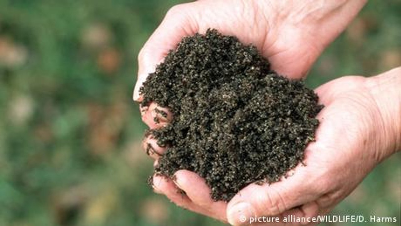 Mikroben für fruchtbare Böden