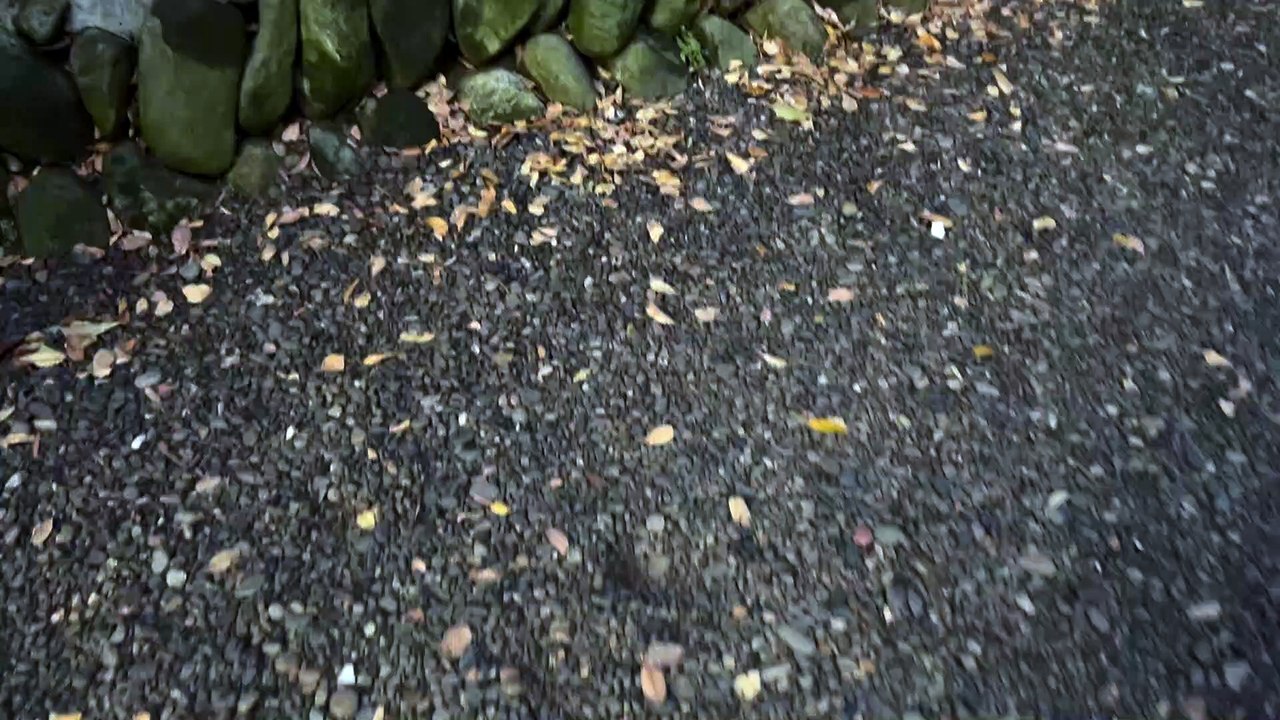 Japanese temples