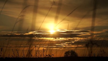 Emotional Background Nasheed