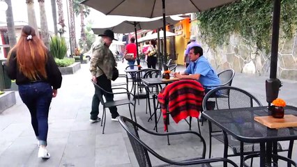 Cabalgata de alta montaña en el Pico de Orizaba | Conexión Milenio