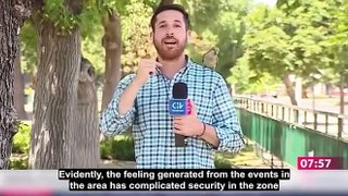 TV reporter is robbed while talking about high crime... by a PARROT! Bird swoops on journalist's shoulder and flies off with his earpiece in Chile