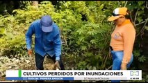 Cultivos perdidos por inundaciones en Santander