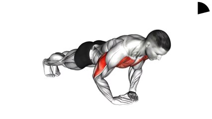 Fix Body in 14 DAYS ! ( Home Workout ) _ beginner workout at home