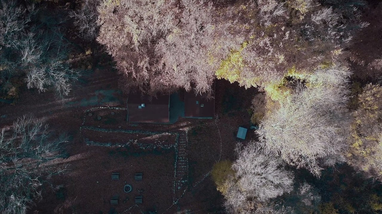 I HEAR THE TREES WHISPERING Movie