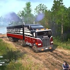 FREIGHTLINER FLA 9664 crosses a fragile bridge