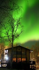 Beautiful Auroras in Alaska