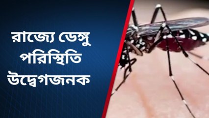 কলকাতা: রাজ্যে মহামারীর পর্যায়ে ডেঙ্গি পরিস্থিতি! চিন্তা বাড়ছে দক্ষিণ শহরতলী নিয়ে