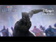 Black Panther | Marvel Studios’ LEGENDS - Disney+