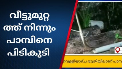 കുന്നത്തൂർ :പുത്തൂർ പാലത്തിനു സമീപം വീട്ടുമുറ്റത്ത് നിന്നും പാമ്പിനെ പിടികൂടി