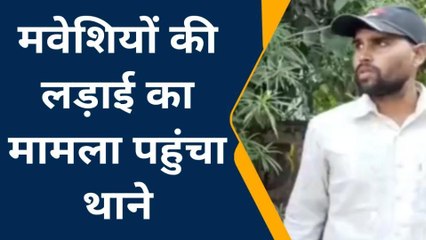 विदिशा: दो भैंसों की लड़ाई में एक भैंस की मौत, थाने में मामला हुआ दर्ज