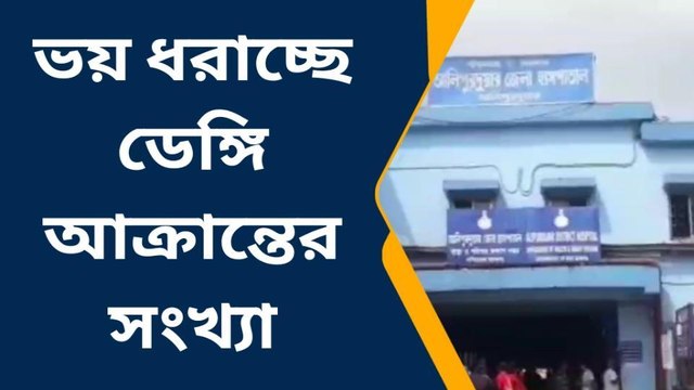 ডেঙ্গু মশার আঁতুড়ঘর হয়ে উঠেছে আলিপুরদুয়ার ! কি ভাবে ? দেখুন