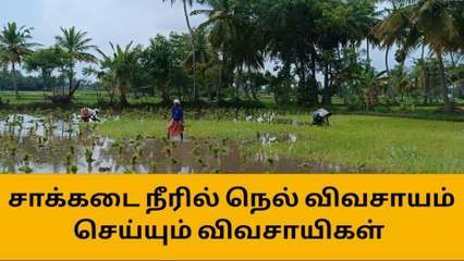 Download Video: புதுக்கோட்டை:சாக்கடை நீரில் விவசாயம்,அசத்தும் விவசாயிகள்!