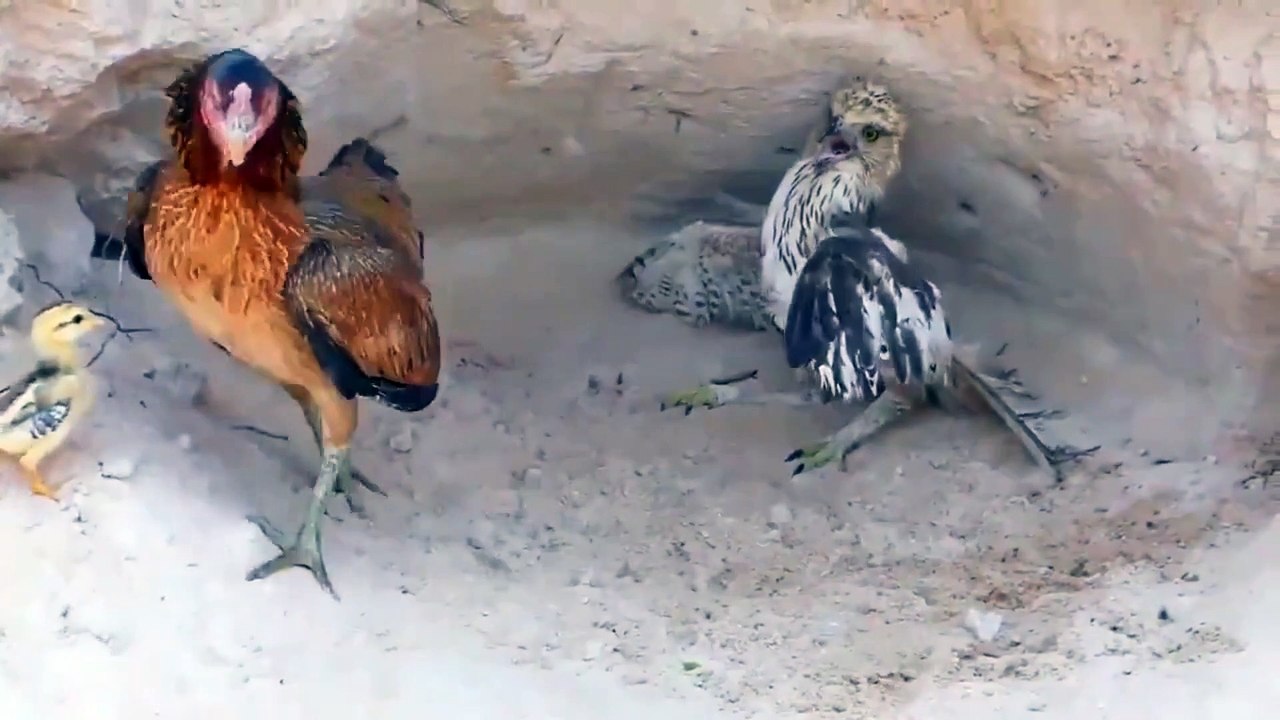 Epic reaction, reaction, N smile, baby reaction, cute baby try not to smile