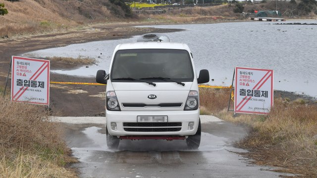 전북 순창 산란계 농장 AI 항원 검출...일시 이동 중지 / YTN