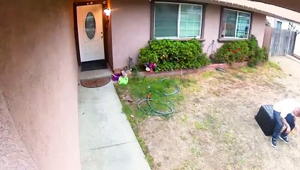 Try Not To Laugh Funny Videos - Worst Mistakes Ever Caught On Tape