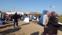 Balıkesir'de Büyükşehir'den zeytin üreticilerine tente ve zeytin kasası desteği