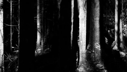 November Bande-annonce (NL)