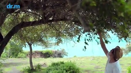 Budi Doremi - Tolong (Official Lyric Video)