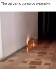 Oh boy. What did you eat this time?