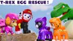 Paw Patrol T-REX Dinosaur Rescue Story with the Cat Pack Cartoon For Kids and Children