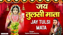 तुलसी विवाह Special आरती - जय तुलसी माता - Jai Tulsi Mata - तुलसी माता की आरती - Sapna Vishwakarma ~ New Video - 2022