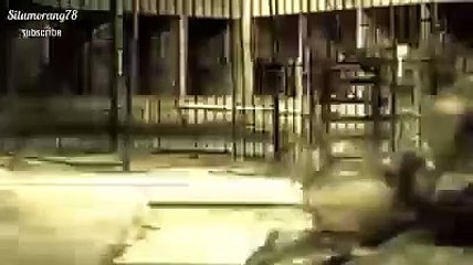 Inilah yang terjadi jika singa dan harimau dalam satu kandang