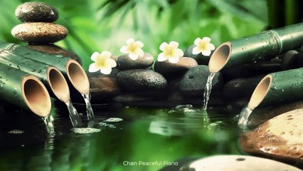  10 Minutes Relaxation Music Meditation For Positiv Energy, Relax Mind, Body & Soul