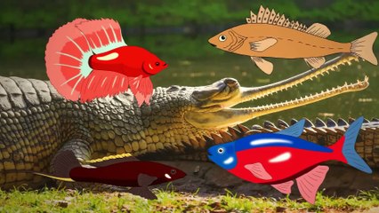 These Creatures Are The Greatest Survivors of Evolution