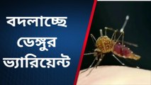 কলকাতা: সুস্থ হওয়ার পর কমছে প্লেটলেট! উদ্বেগ বাড়াচ্ছে ডেঙ্গির নতুন ভ্যারিয়েন্ট