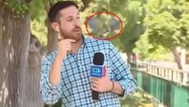 Muhabirin canlı yayındaki zor anları! Papağanın yaptığını görünce neye uğradığını şaşırdı