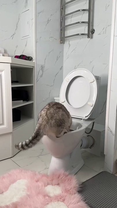 Do your pets drink water from the _