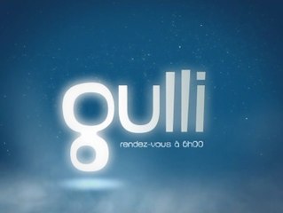 Gulli - Fin des programmes - 12-02-2008 01h00 01m