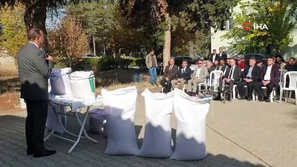 Un fiyatlarının düşmesi için buğday ekilen alanlar artıyor