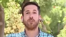 Şili'de muhabir canlı yayında kuşun kapkaçına uğradı