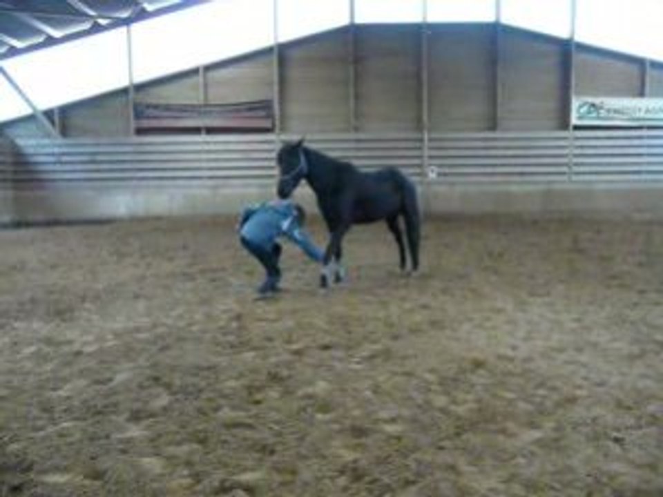Jambettes et révérance