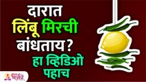 तुम्हाला दारावर लिंबू मिरची लावण्याचं वैज्ञानिक कारण माहित आहेत का? Benefits of tying Limbu Mirchi