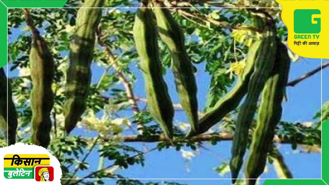 Kisan Bulletin 05 November 2022 - किसान का देसी जुगाड़, 10 फीट ऊंचा ट्रैक्टर बनाकर किया कमाल | पूसा डीकंपोजर | पराली समस्या का समाधान