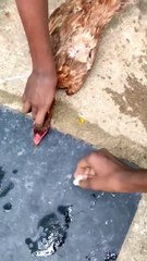 Strange Things About Pigeons