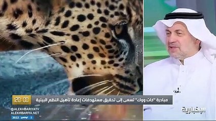 مسؤول بـ«الحياة الفطرية»: لم نعثر على أيّ أثر للنمر العربي في المملكة.. إنه على مشارف الانقراض