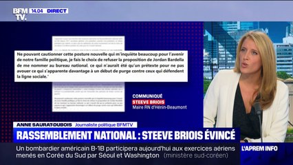 Скачать видео: Rassemblement national: Steeve Briois et Bruno Bilde et évincés du bureau exécutif par Jordan Bardella