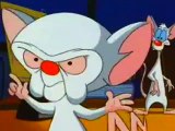 Pinky And The Brain - S2E1 - It's Only a Paper World