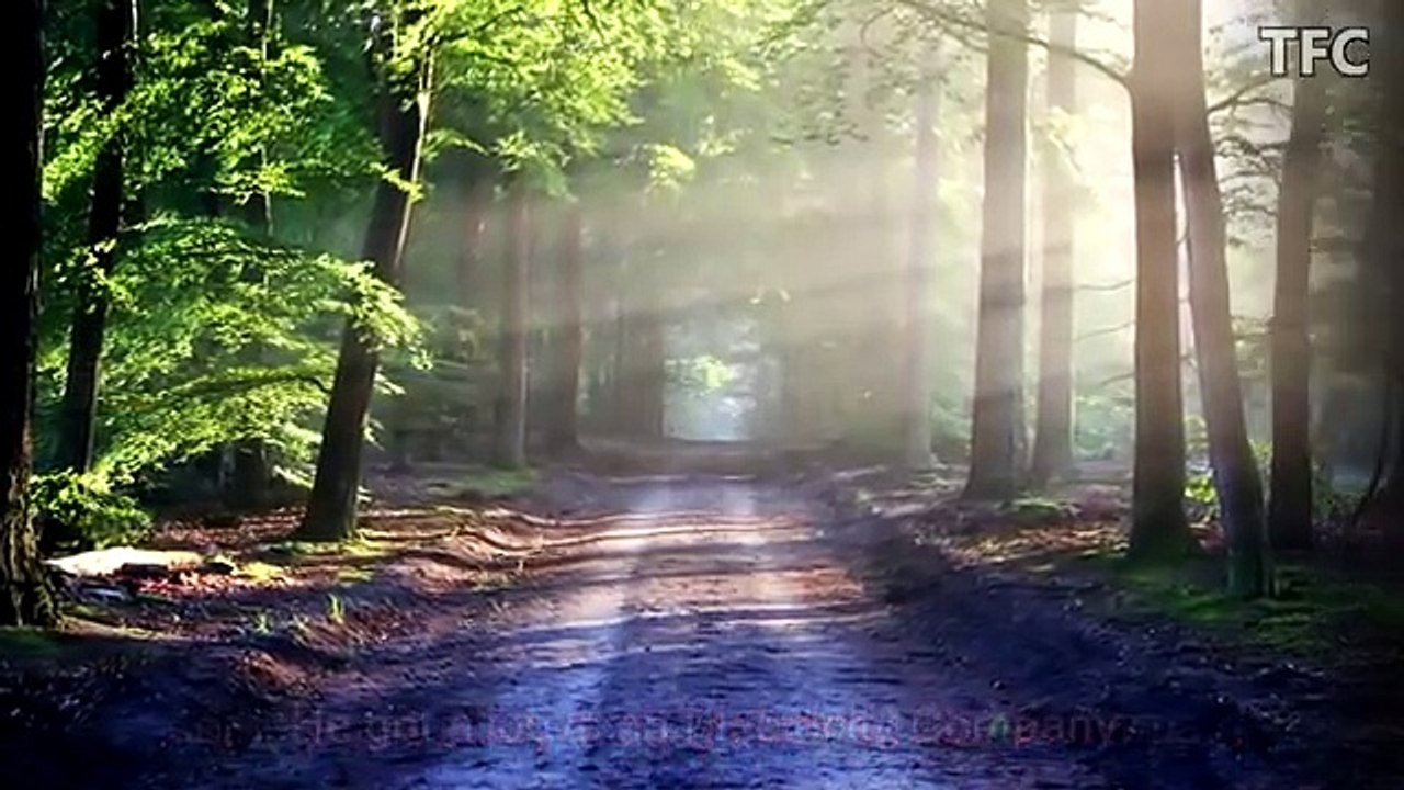 Really Inspiring & Best Motivational Video Story Ever in English by TFC _ BELIEVE IN YOURSELF (1)