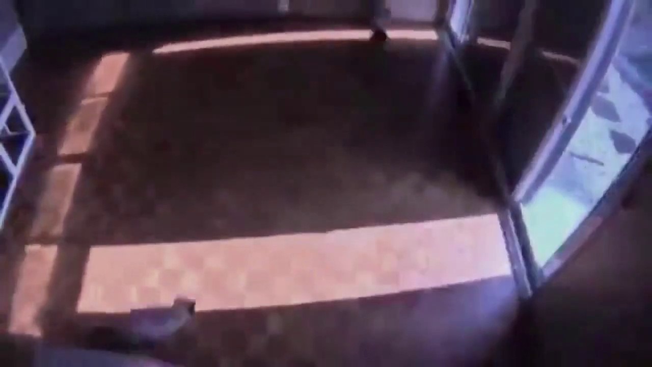 Wow.amazing timelapse of cats