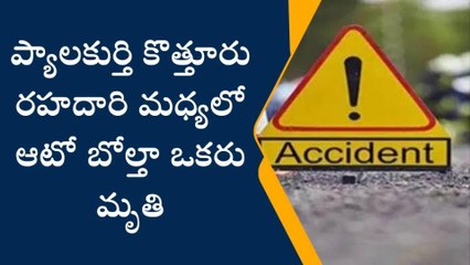 కర్నూలు: కోడుమూరులో ఆటో బోల్తా... వ్యక్తి మృతి