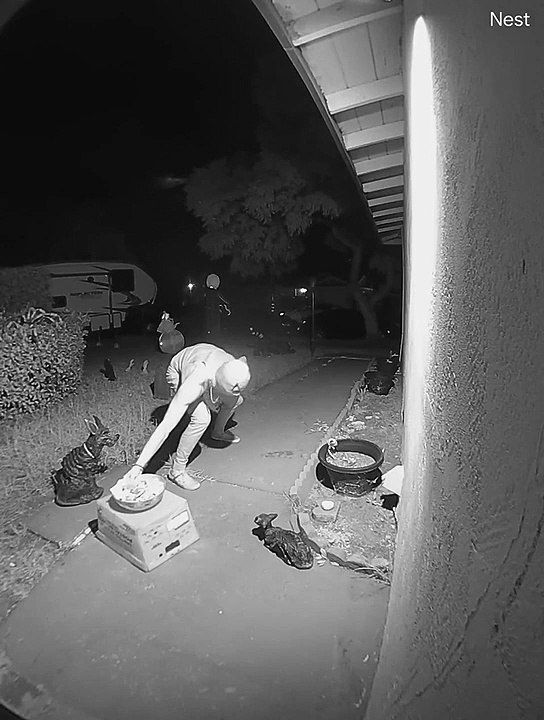 Doorbell Cam Catches Candy Thief in the Act
