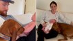 Adorable moment dog meets newborn baby and completely falls in love