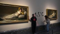 Climate activists glue hands to Goya frames at Prado museum in Madrid