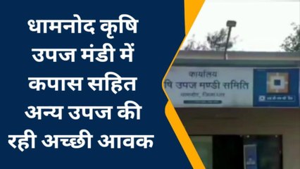 धामनोद कृषि उपज मंडी में कपास सहित अन्य उपज की रही अच्छी आवक जानिए क्या रहा भाव